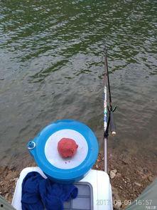 钓鱼跳水搞笑视频,钓鱼跳水搞笑瞬间大盘点