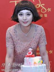 娱乐圈谁最,谁将成为下一个焦点明星？